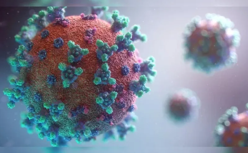 xec koronavirus