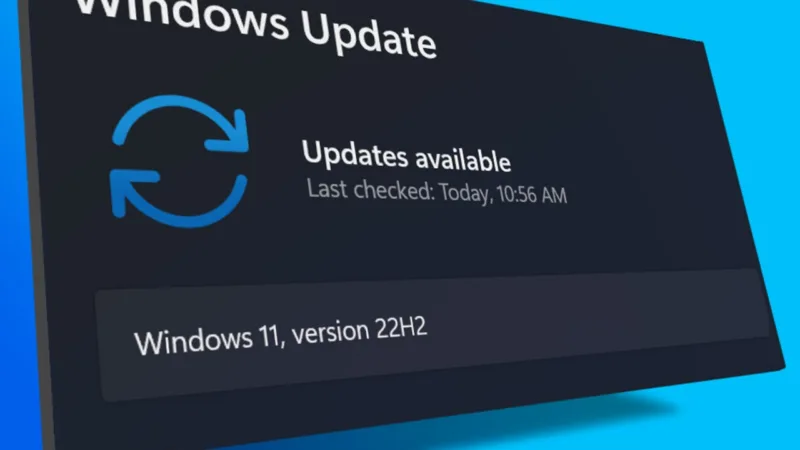 windows 11