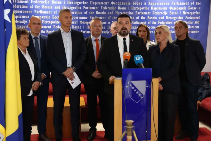 mahir mesalic df zastupnici