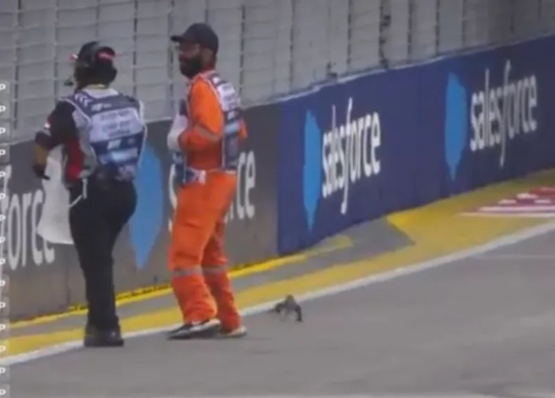 formula 1