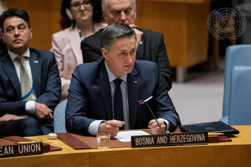 denis bećirović