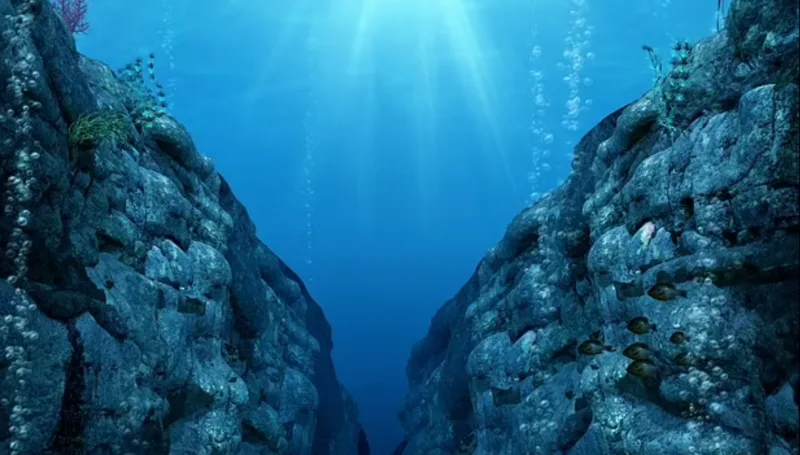 Screenshot_1