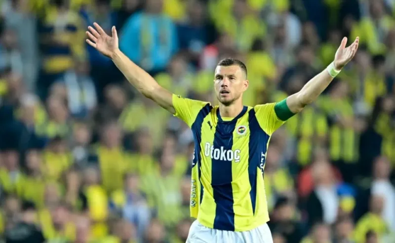 dzeko