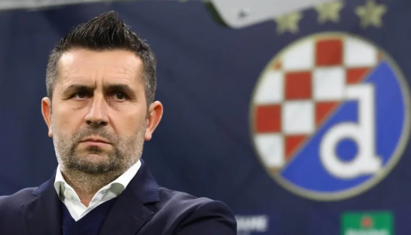 bjelica