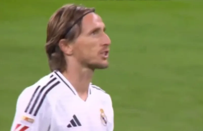 modrić