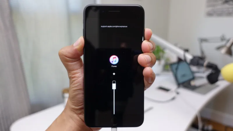 iphone recovery
