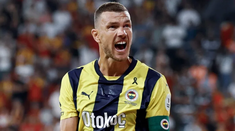 edin dzeko