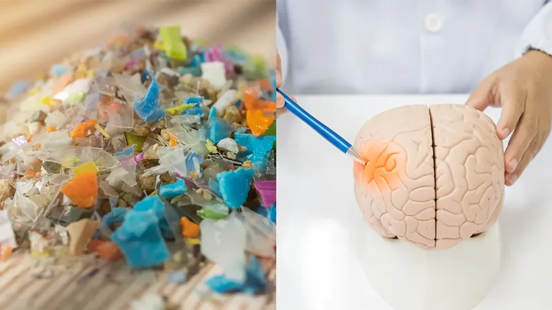 microplastics-brain-l