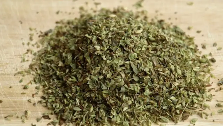 origano