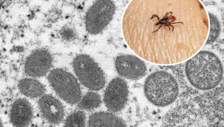 welv virus krpelj