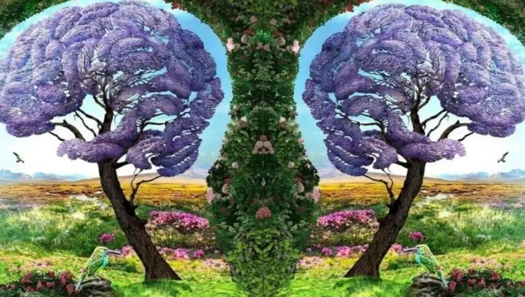 drvo_test_licnostijpg