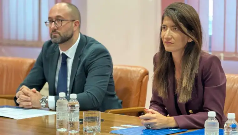 HDZ i ODIHR