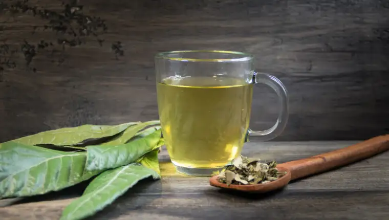 medicinal infusion of loquat leaves with honey, on rustic wooden background