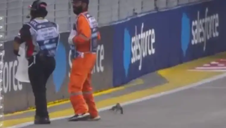 formula 1