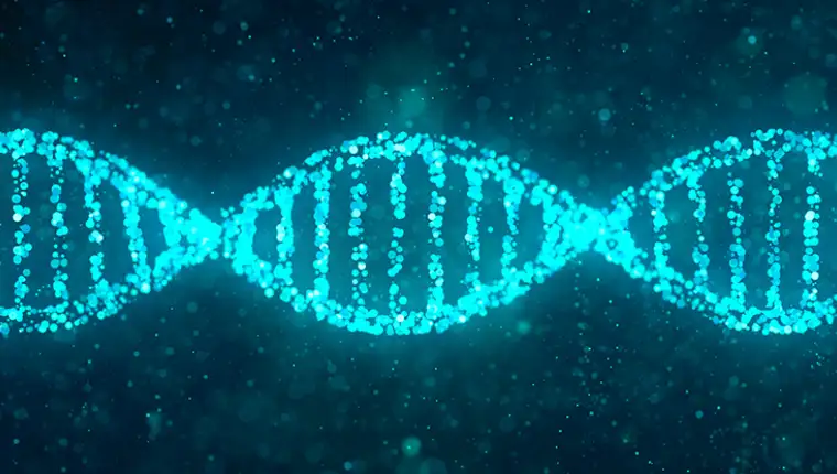 BrightDNA-1