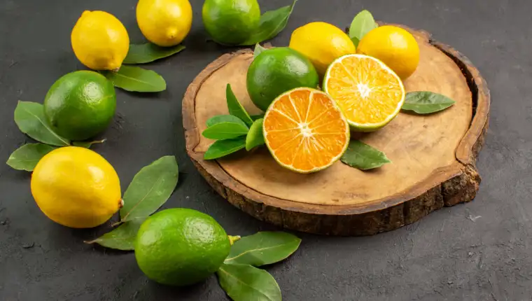 citrusi freepik