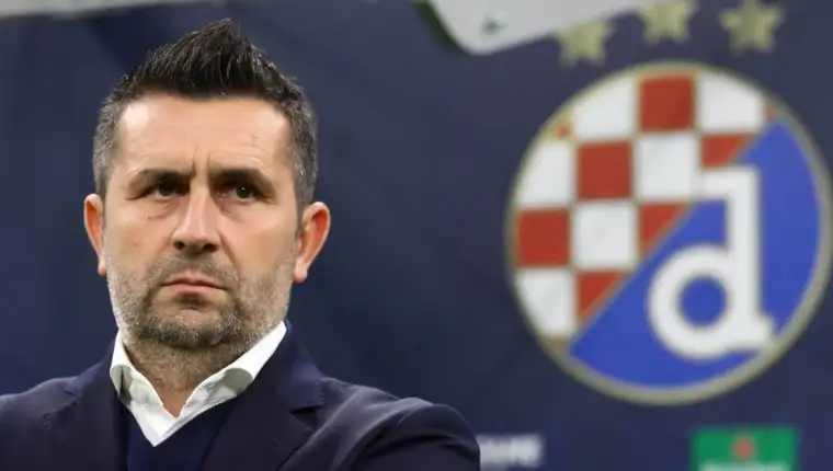 bjelica