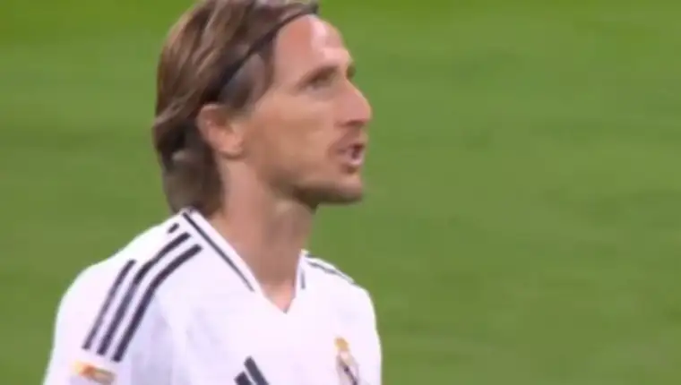 modrić