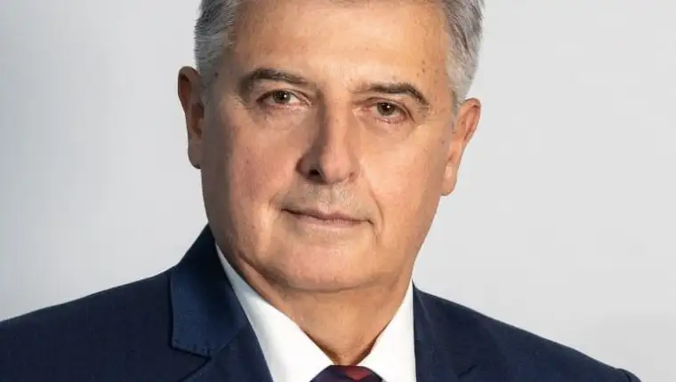 nedžad koldžo