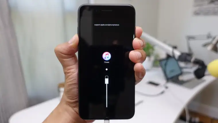 iphone recovery