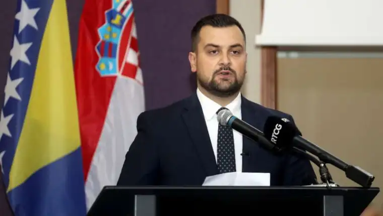 armin hodžić