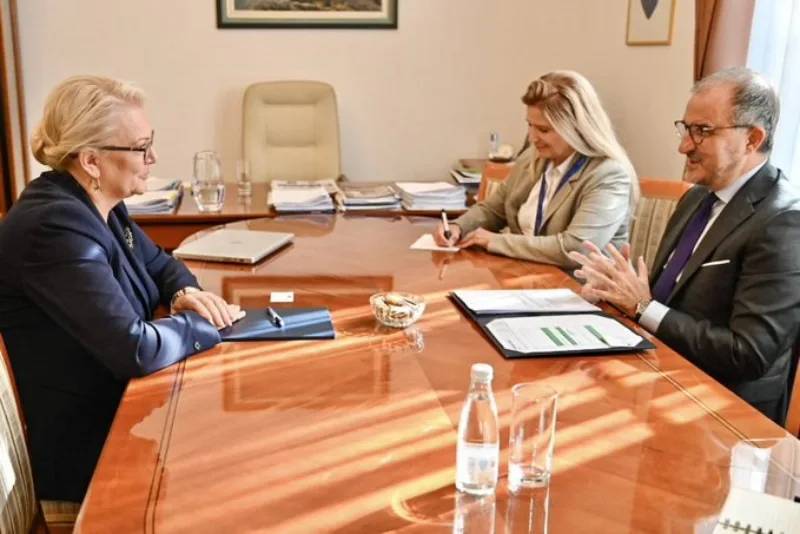 soreca i bradara