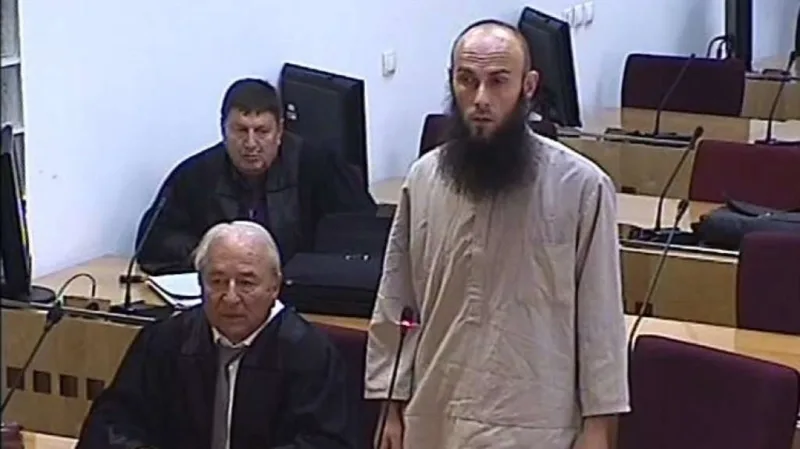 mirza kapić