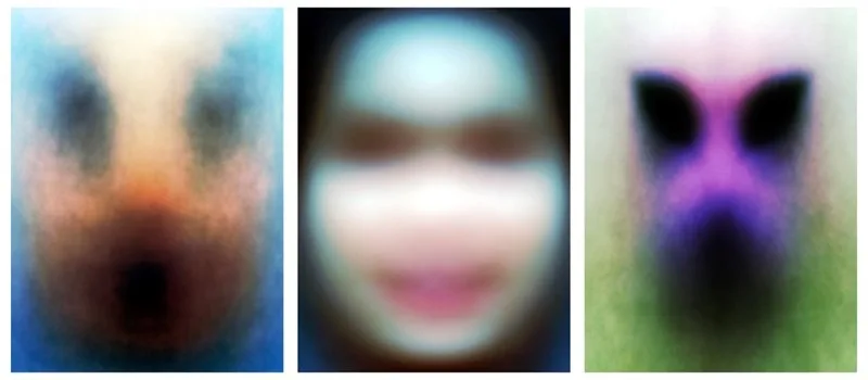 detekcija lica