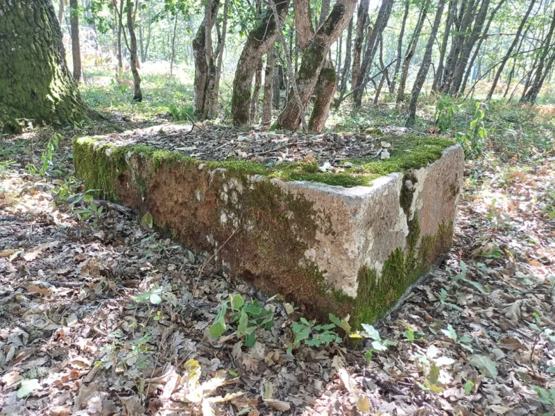 nekropola