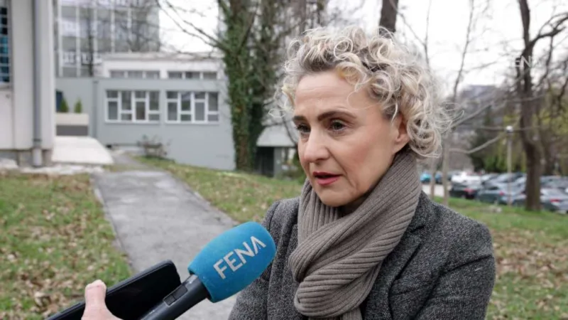 prof ademović