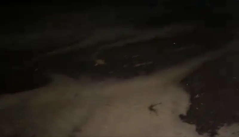 uragan usisao more