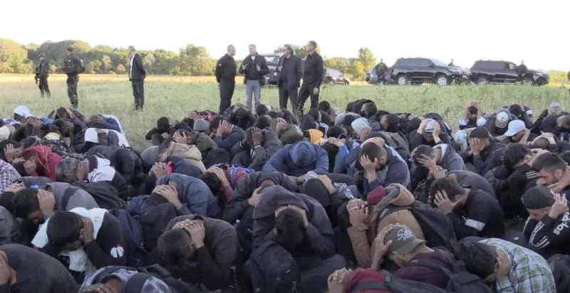 migranti