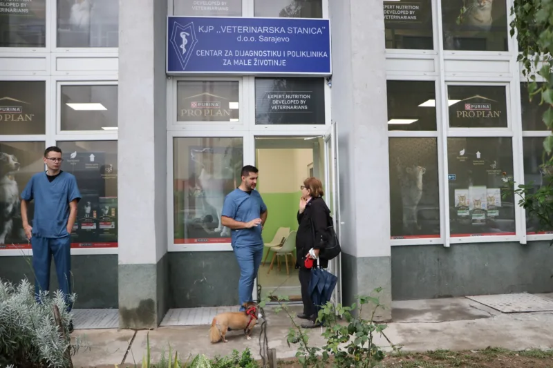 vet