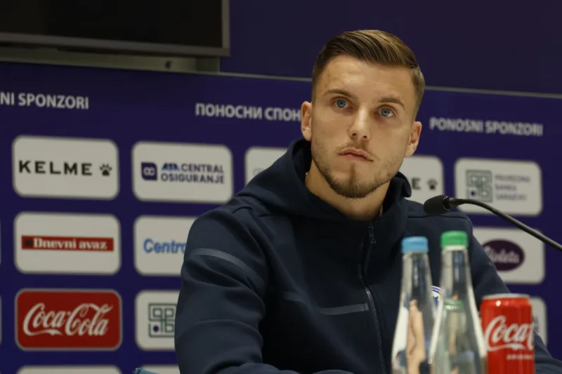 ermedin demirovic