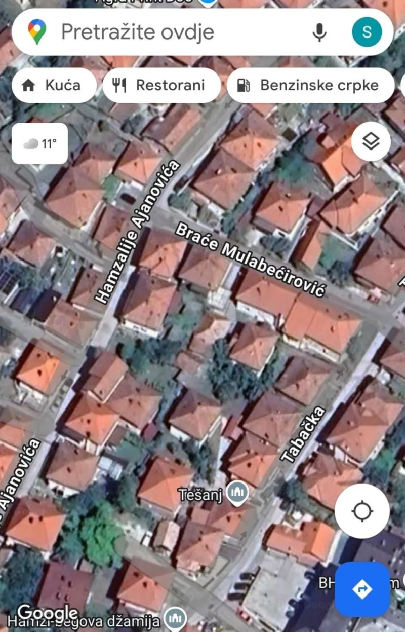 tesanj