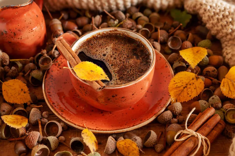 kafa