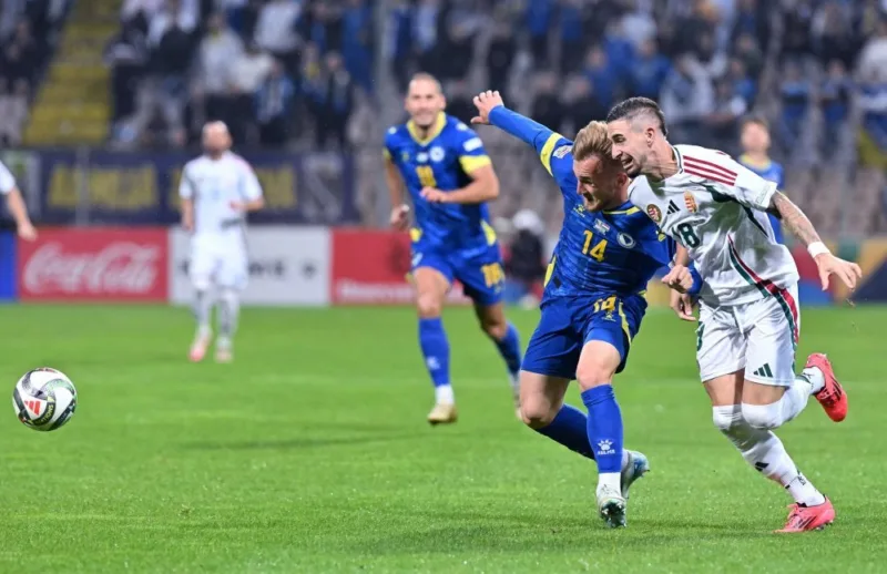 omerovic