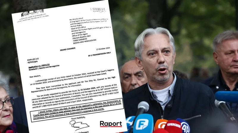 kovacevic pismo evropski sud