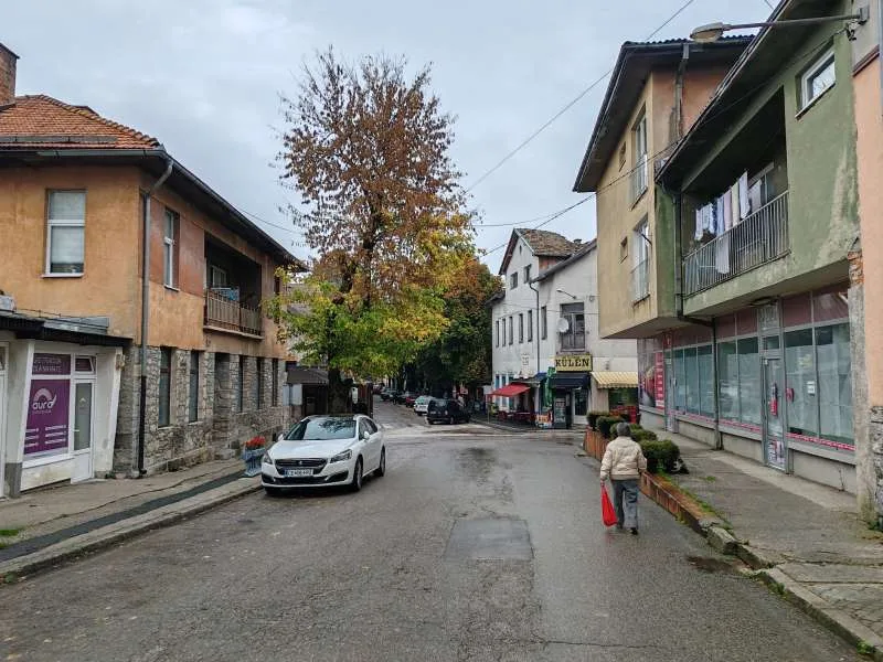 Bos. Petrovac