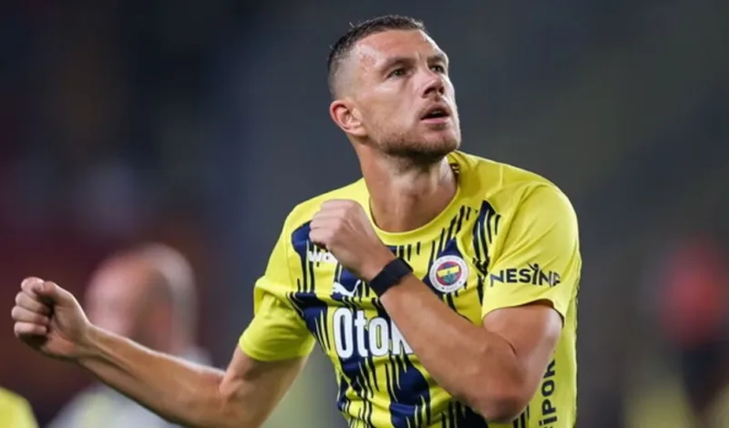 dzeko