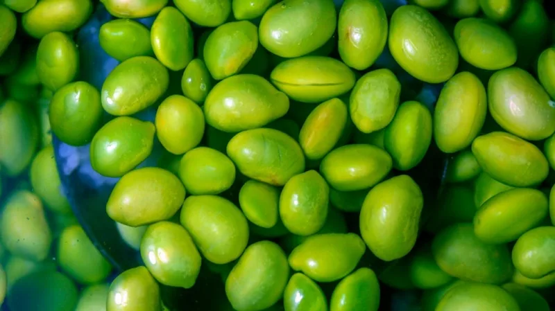 edamame