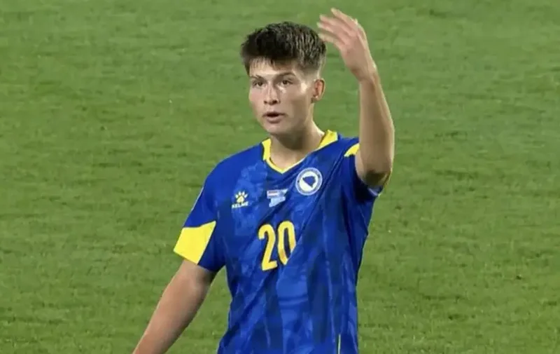 emir bajraktarevic
