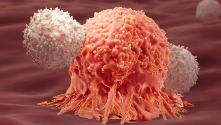 white_cells_attacking_cancer_-cell