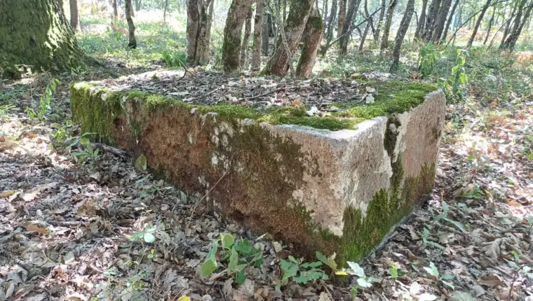 nekropola