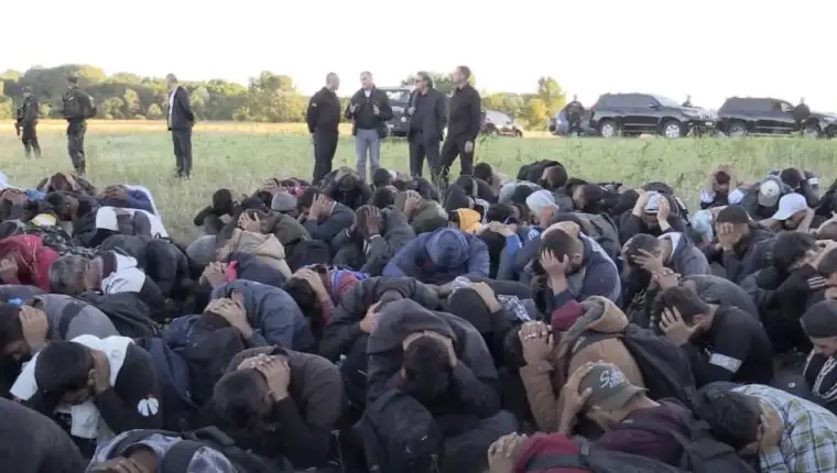 migranti