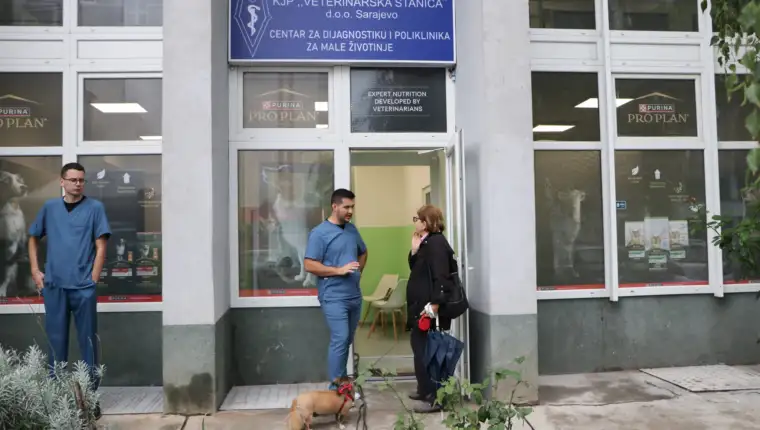 vet