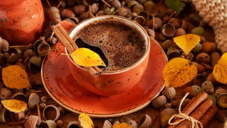kafa