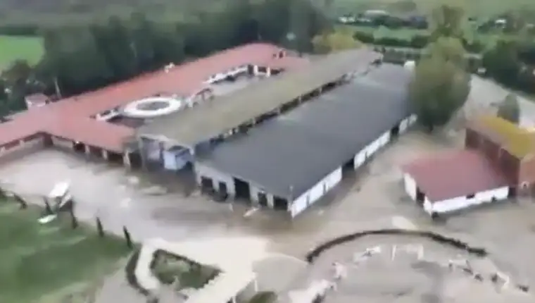 bolonja 1