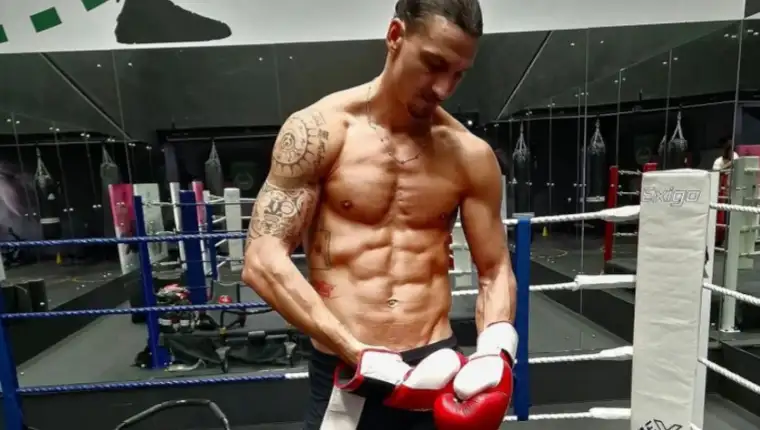 ibrahimovic