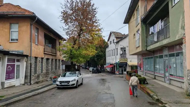 Bos. Petrovac